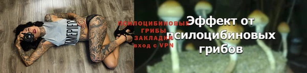 дурь Арсеньев