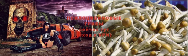 дурь Арсеньев